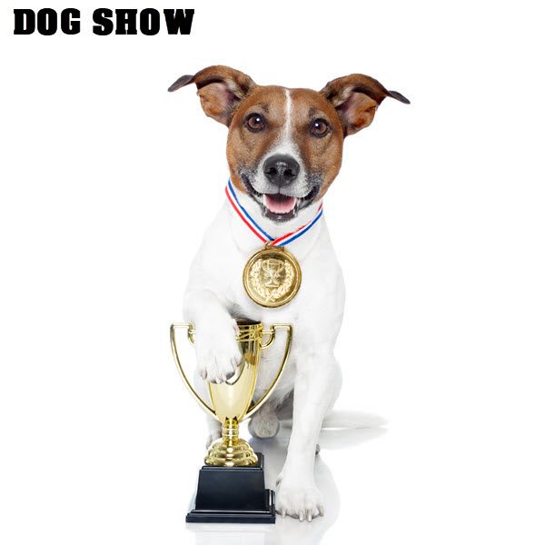 RissiFest 2024 - Dog Show