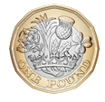 One pound coin